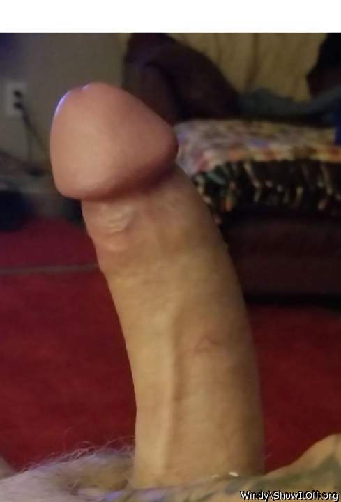 Adult image from Windy
