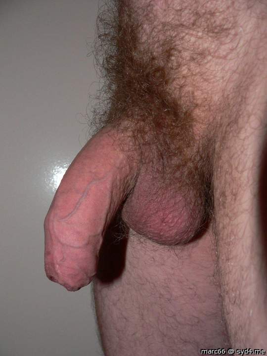 It was once my pretty extreme hairy little buddy ...