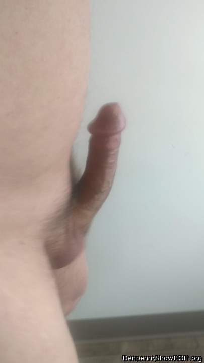 Adult image from Denpenn