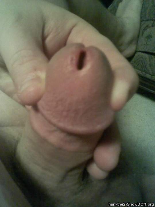 Adult image from hankthe2