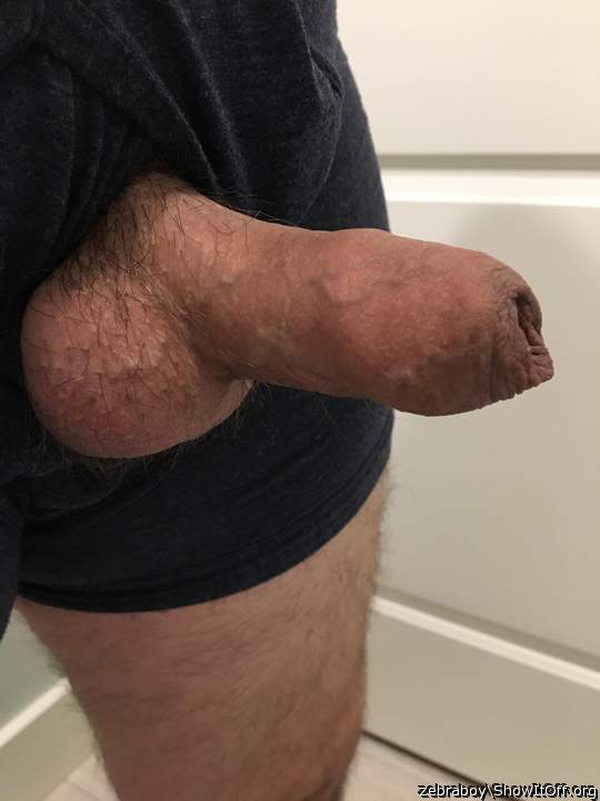 Adult image from zebraboy