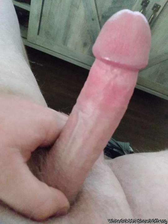 magnificent cock 