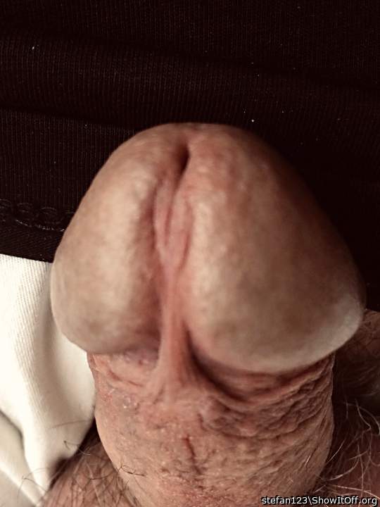 Schnes Eichelpotrait... 