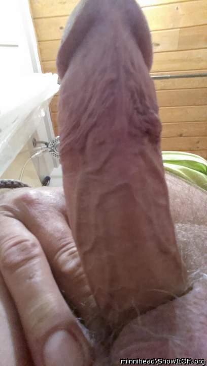 Adult image from minnihead