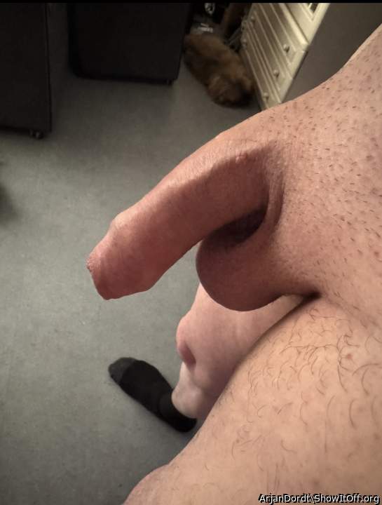 Adult image from ArjanDordt