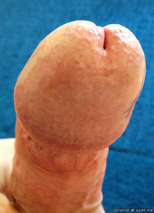 Adult image from gordon6