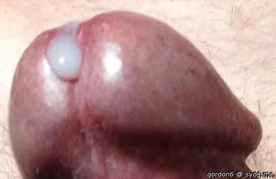 Adult image from gordon6
