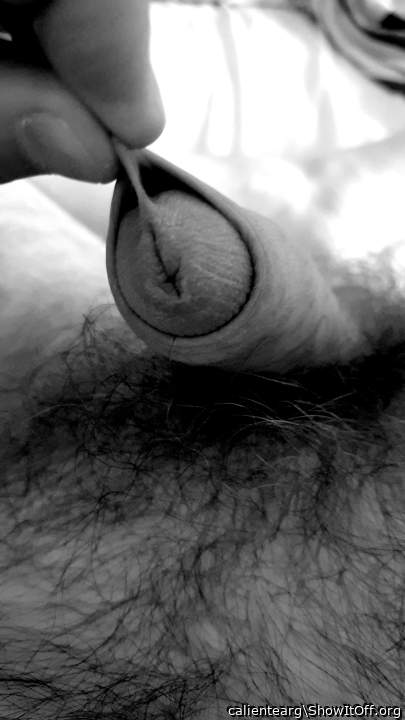 Adult image from calientearg