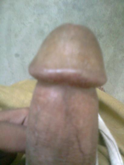 Adult image from luvmycock