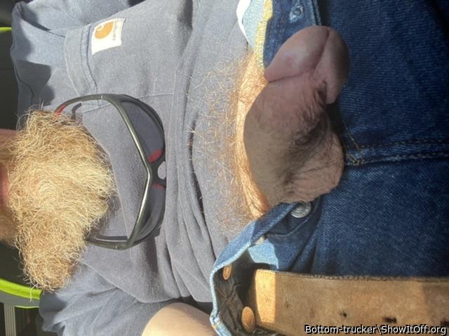 Adult image from Bottom-trucker