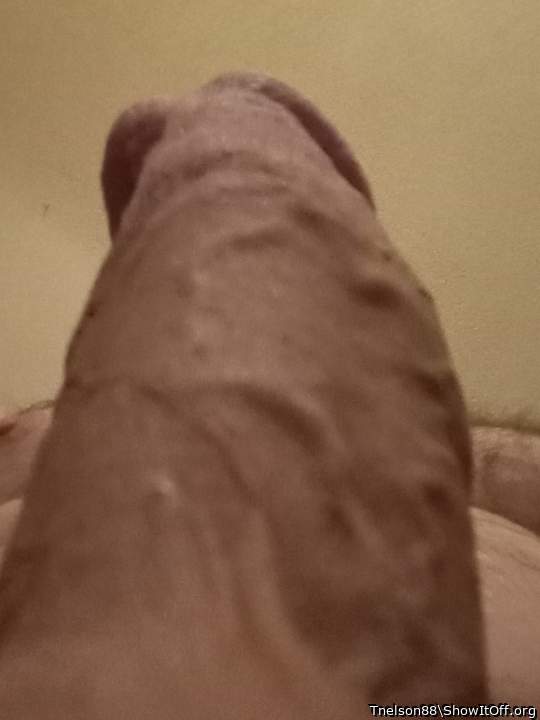 Adult image from Tnelson88