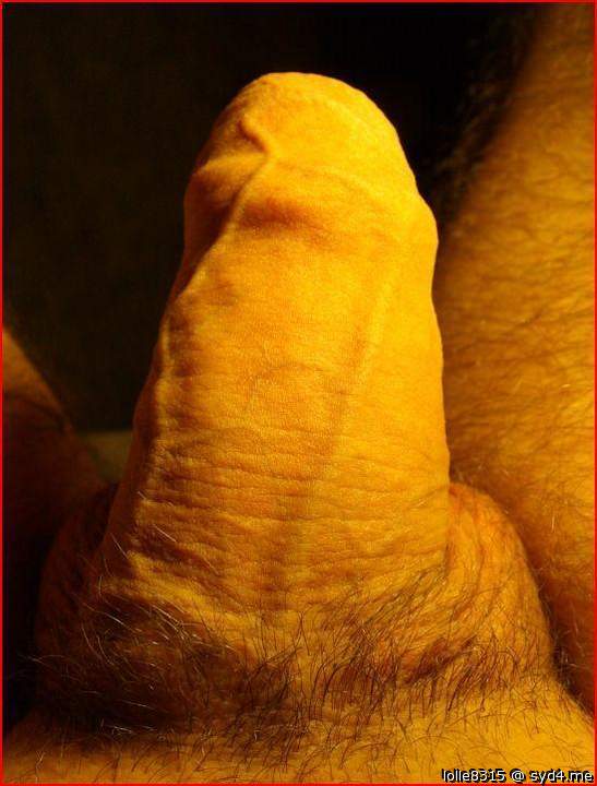 Gorgeous softie 