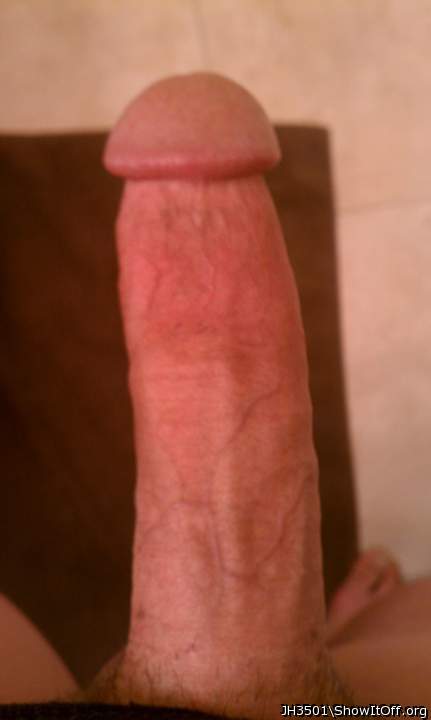 Adult image from JH3501