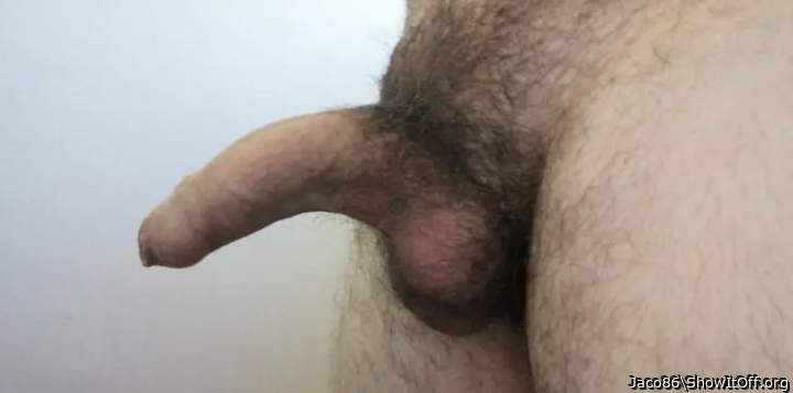 Adult image from Jaco86