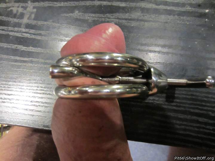 Adult image from Pit66