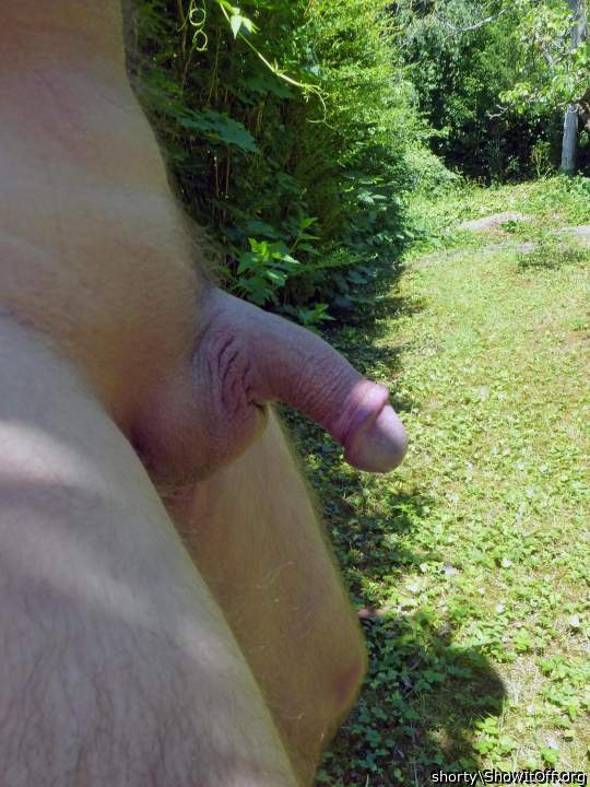 Adult image from shorty