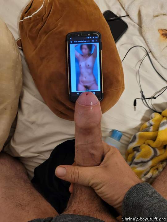 Adult image from Shrine
