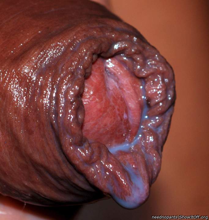 Adult image from neednopants