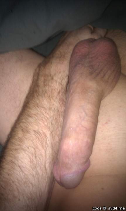 Adult image from coos