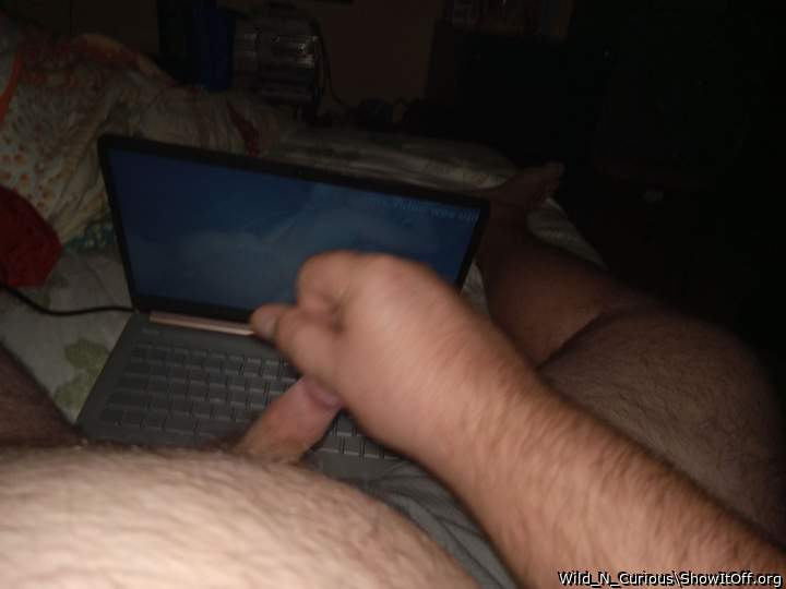 Adult image from Wild_N_Curious
