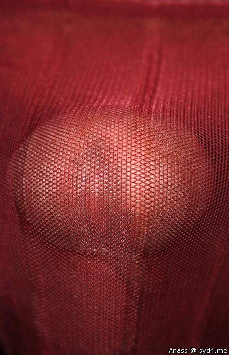 Adult image from Anass