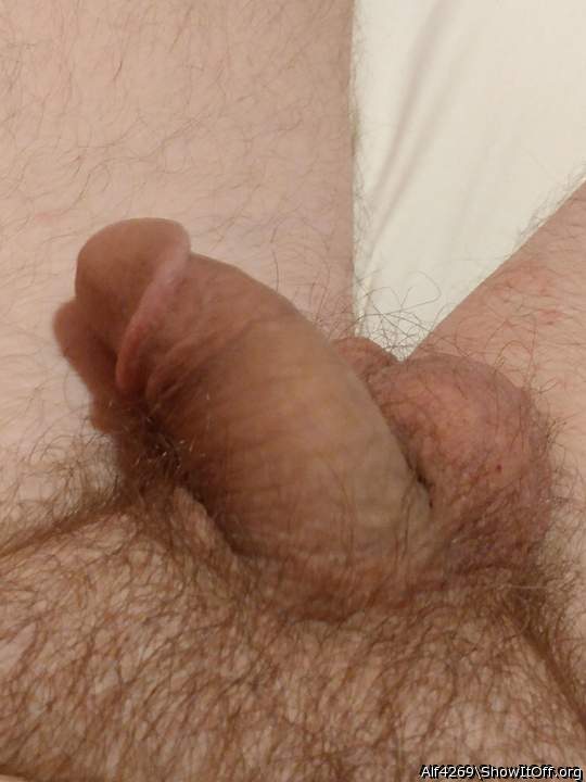 Adult image from Alf4269