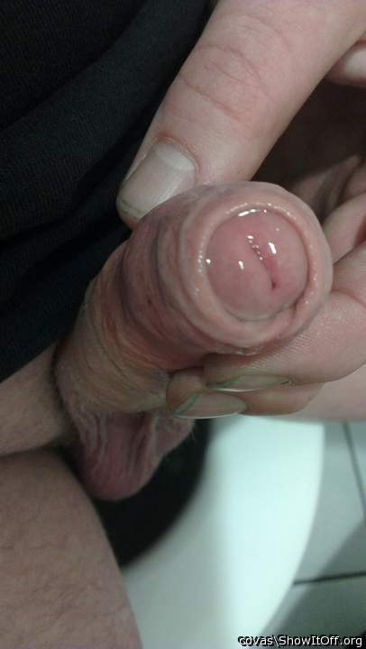 Adult image from covas