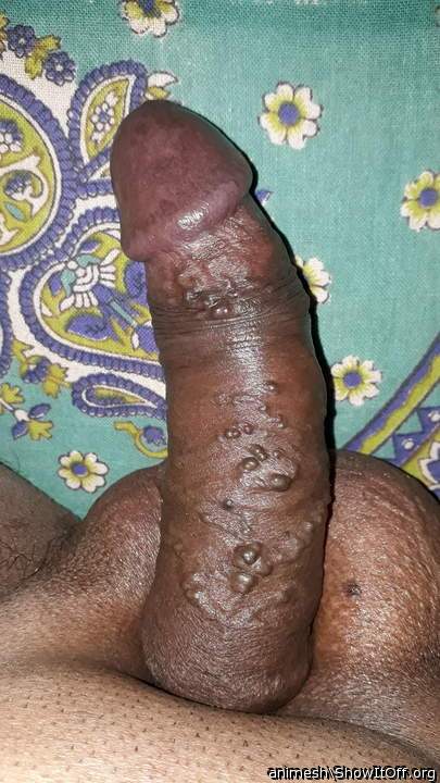 Adult image from Animesh