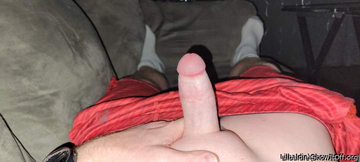 Adult image from Lilbaldie