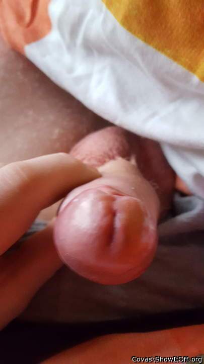 Nice Penis Meatus