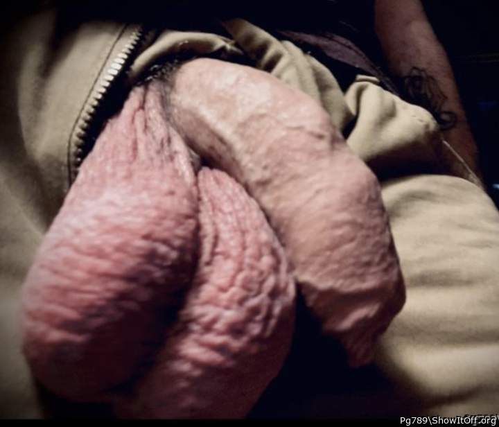 Very good big fat &#269;&#367;rk with hanged bals for fucki