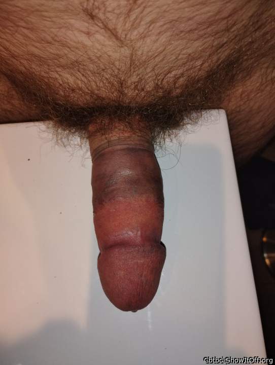 Adult image from Cbtbc