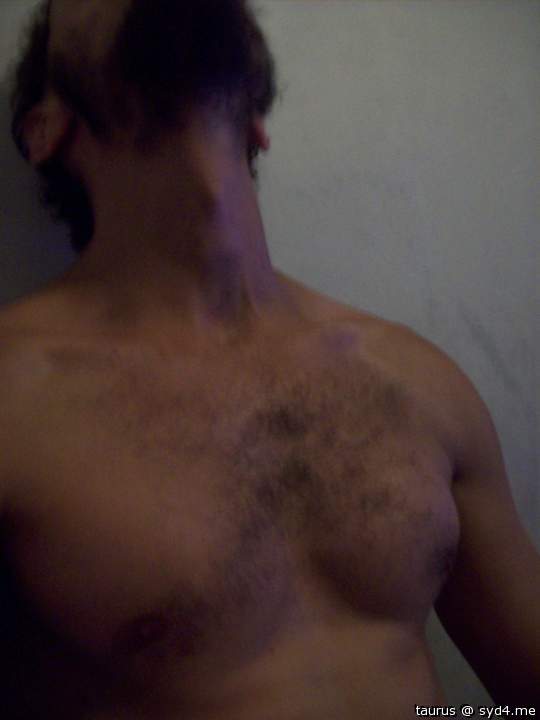 Adult image from taurus