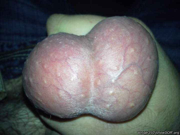Adult image from winger250