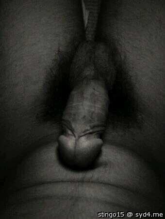 Adult image from stingo15