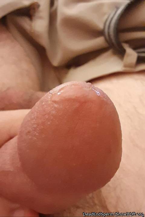 Adult image from DeadEndSperm