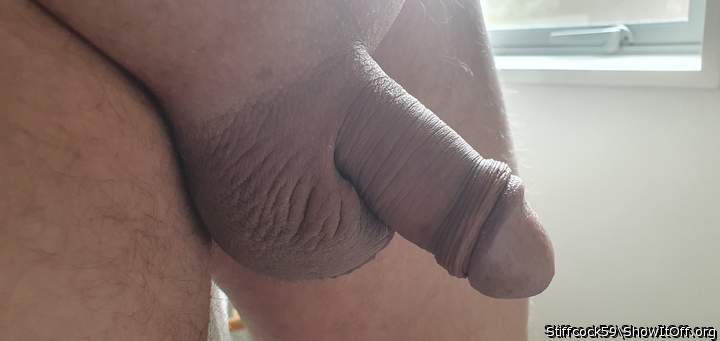 Adult image from Stiffcock59