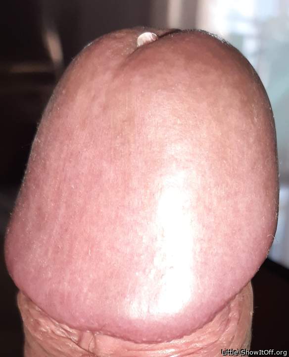 Adult image from Little
