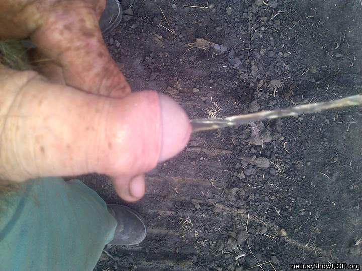 Adult image from netlus