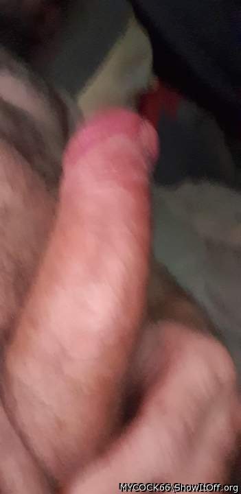 Adult image from MYCOCK66