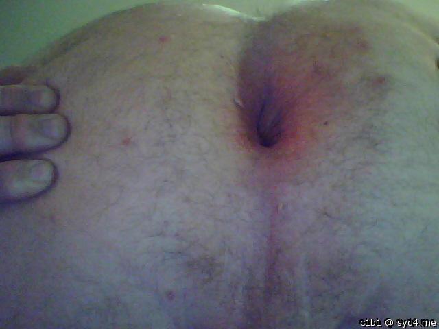 Adult image from c1b1