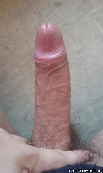 Adult image from Ishkur