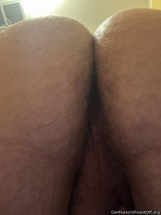Adult image from CenFoxxo