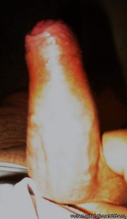 My early morning hard-on, 20.8.25