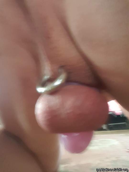 Adult image from pa42