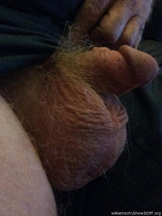 Adult image from williamsch