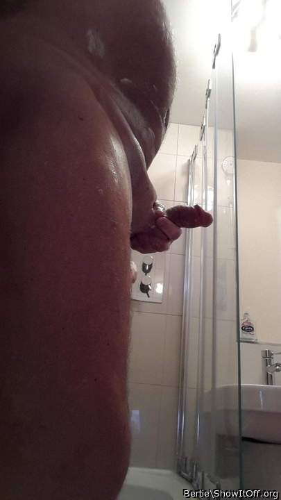 Adult image from Bertie