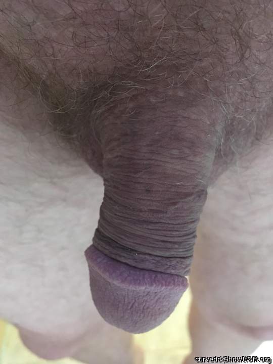 Adult image from Curvedc