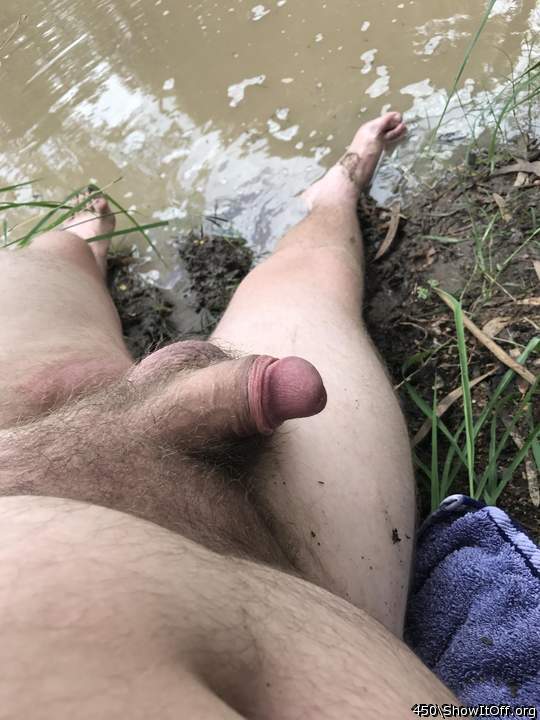 Adult image from 450