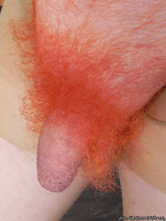 Adult image from dom-58